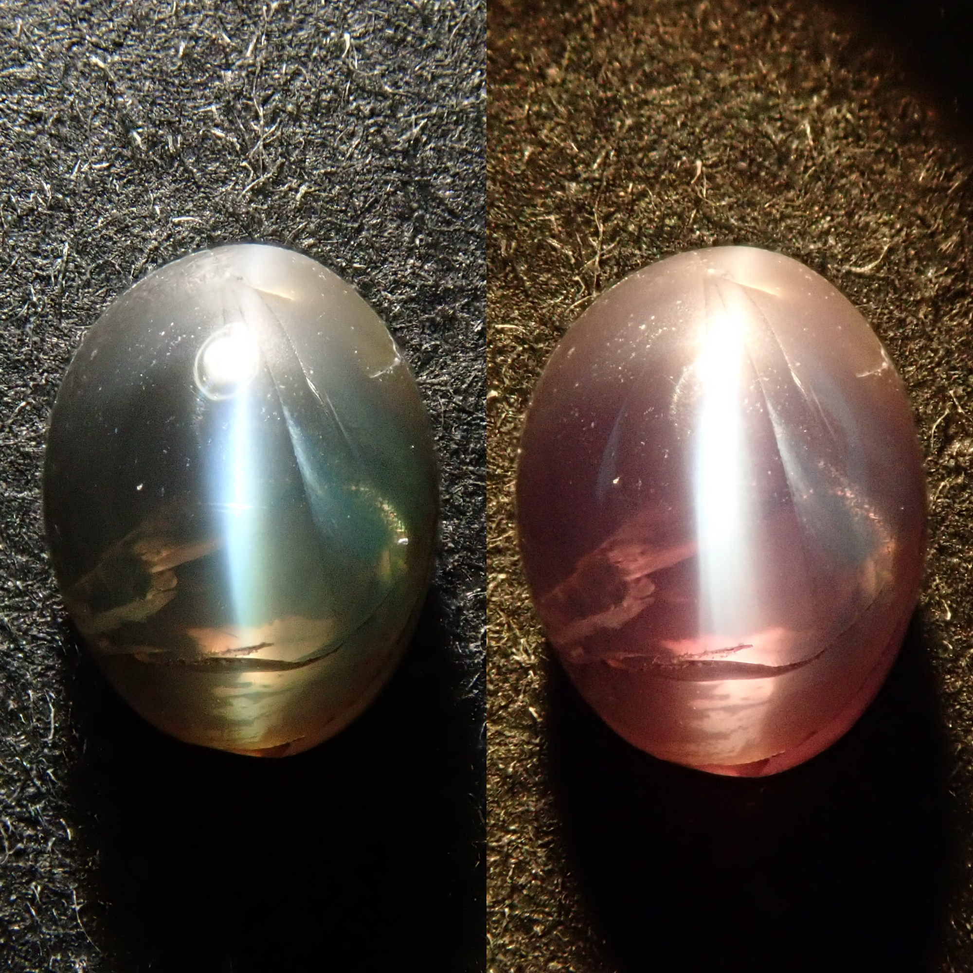 《Yurakucho Marui 20240614》【12549290】Indian Alexandrite Cat's Eye 0.525ct Loose Stone