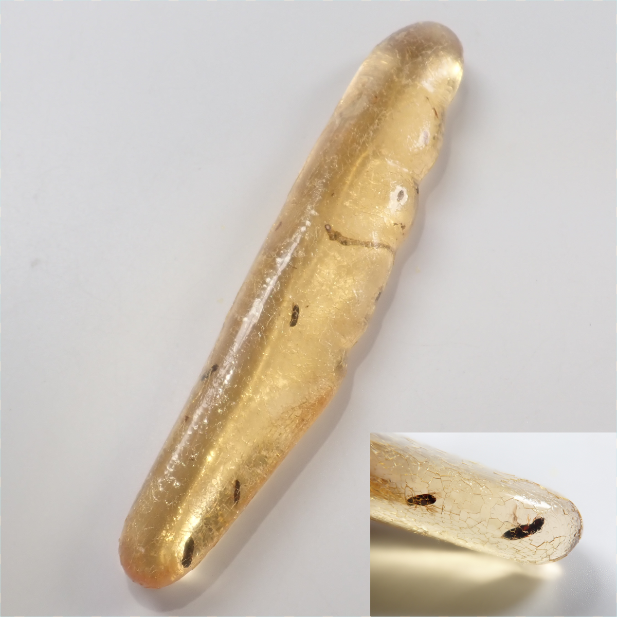 【9/23 22時販売】《限定1石》複数の虫入り 琥珀（こはく）／コパル97.64ct・約10cm 標本