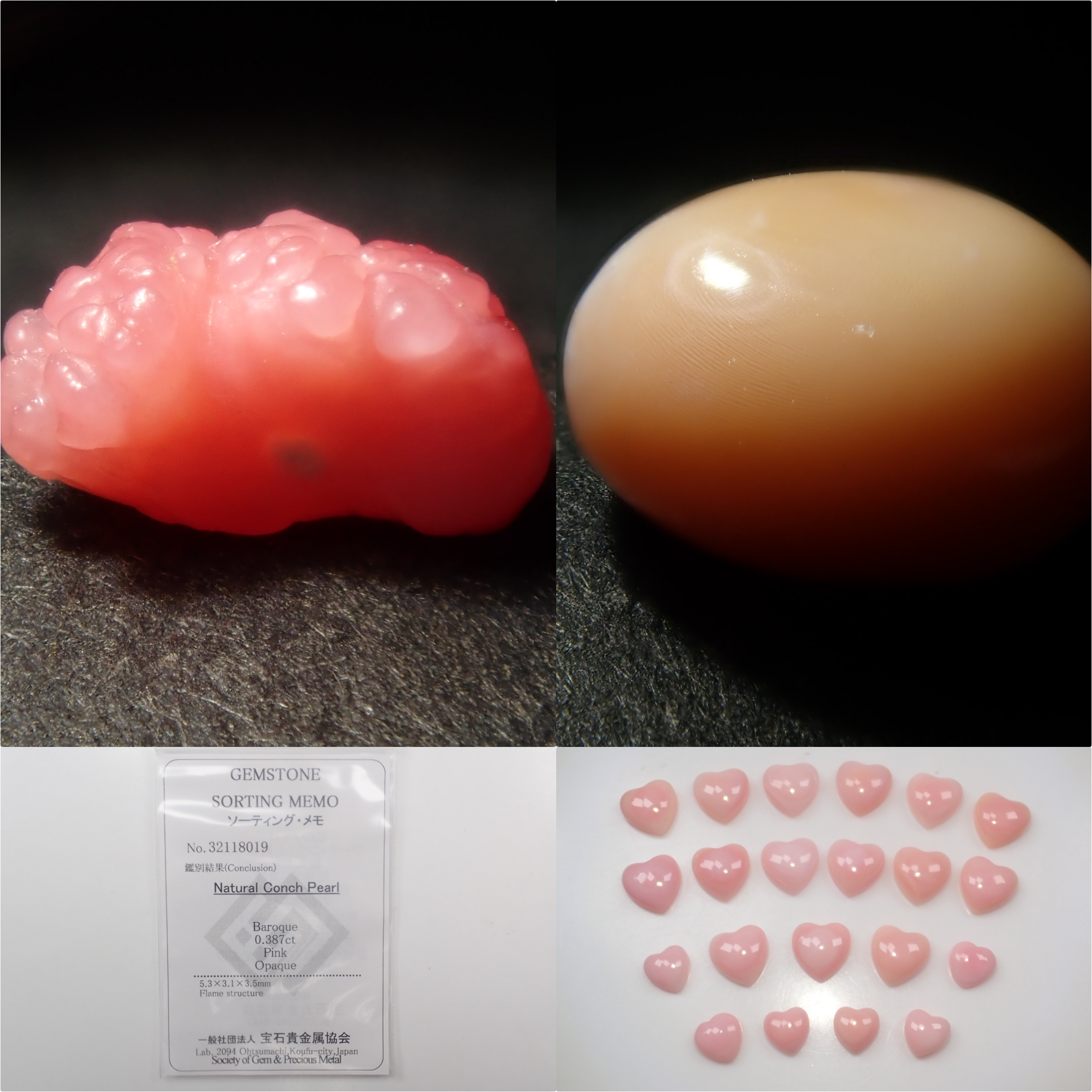 【3/1 22時販売】《限定21石》火焔模様入り含むドミニカ共和国産コンクパール&シェルガチャ1石ルース《複数購入割引有》　