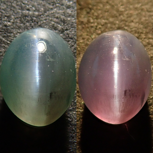 collage_bb00e830-60c3-4273-