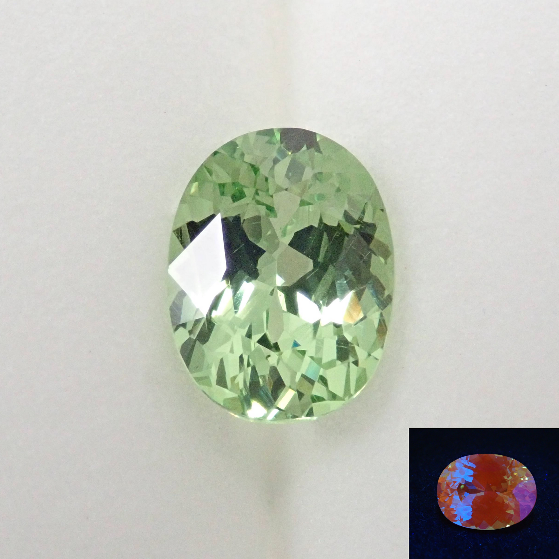 collage_e8b4c3fb-84f1-48f0-