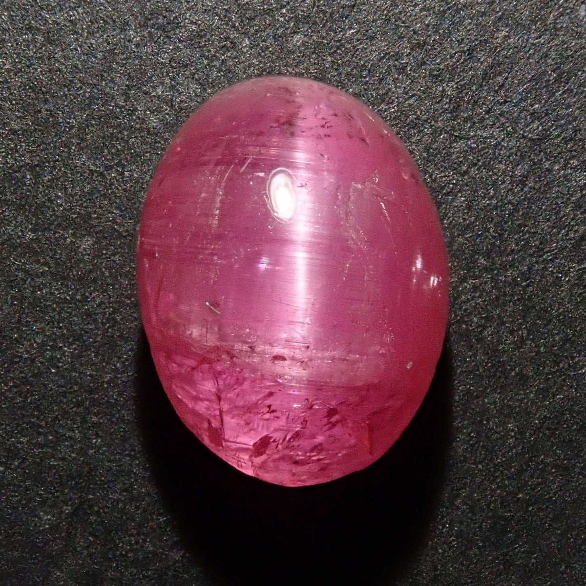 161ct-260251.jpg?v=1623344921& 