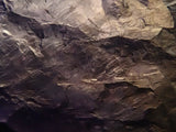 アイオライトサンストーン 31.830ct原石 - カラッツSTORE