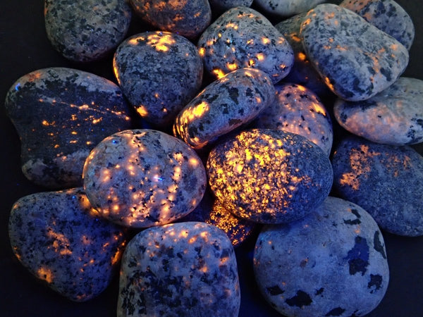 【当店人気No1】ギベオン（メテオライト）とブルータイガーアイ　8mm 隕石 ブルータイガーアイ 1粒8mm(BLUE TIGER EYE): 『岩座(いわく