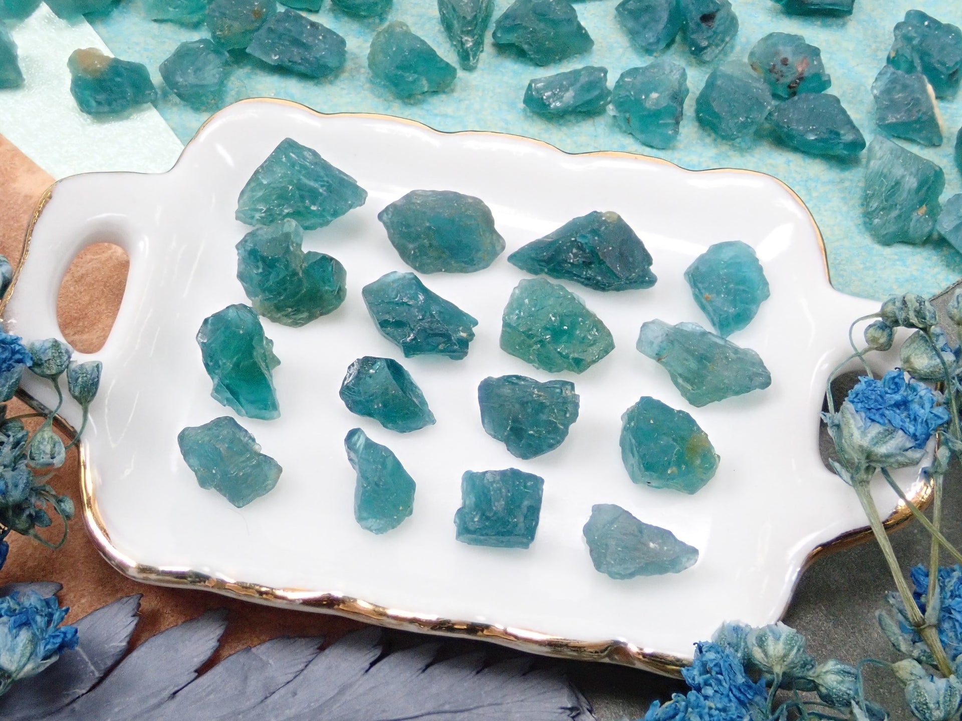 P1262656.jpg?v=1689559396&  