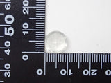 [Dandelion Cut] Moonstone 10mm/3.466ct《Collaboration》Loose with emblem