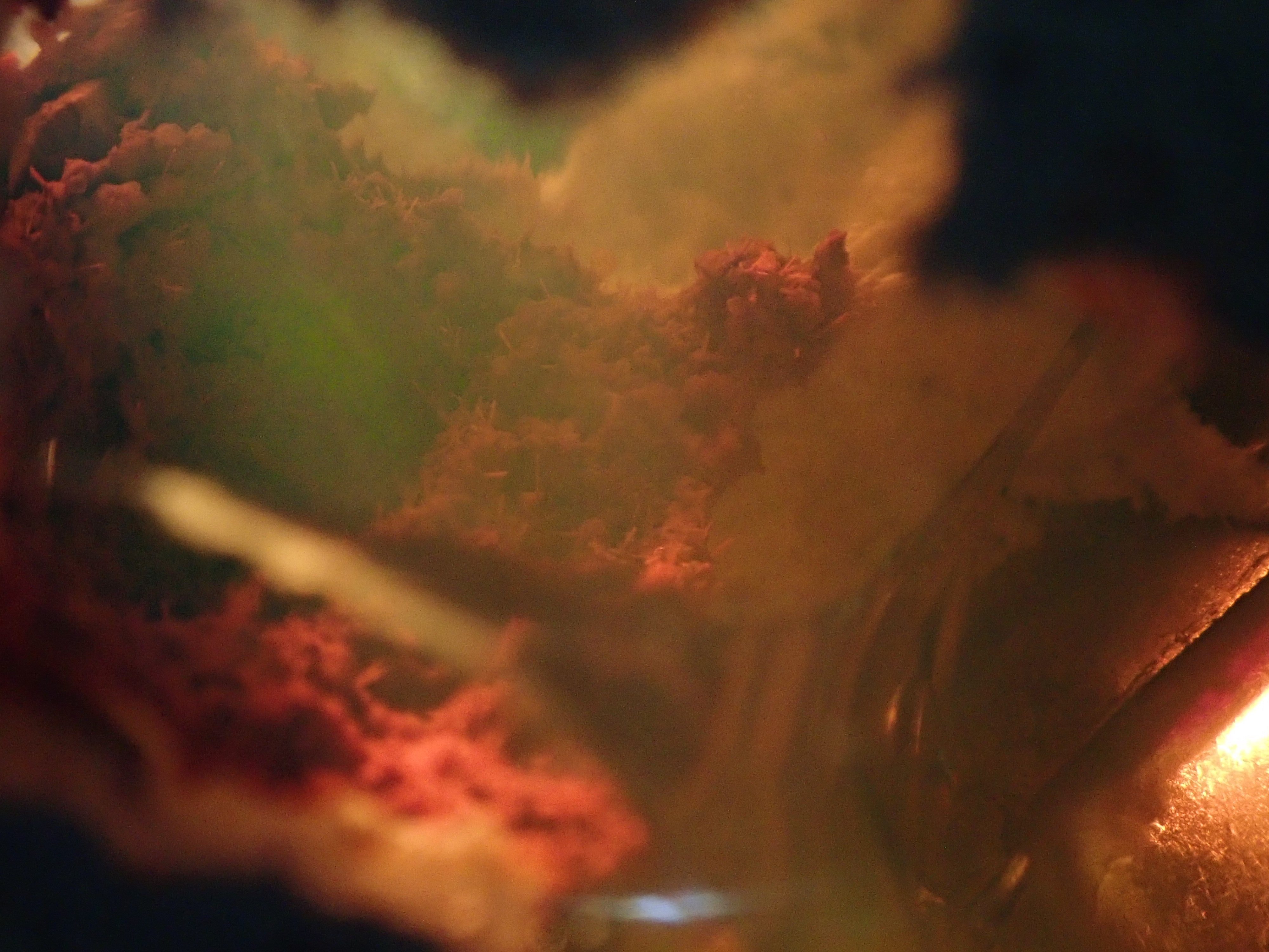 【12530283掲載】カンテラオパール 17.221ctルース