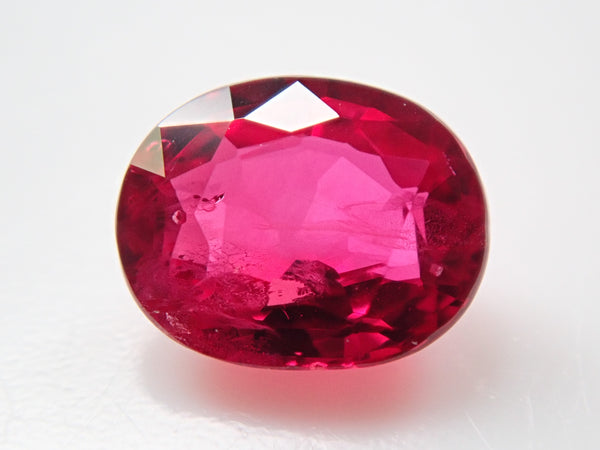 【サービス品@1380】アモエナ×ピンクルルビー(双頭) フジコン 濃縮 ステープル レッドゼリー S バルク ワイド 16g