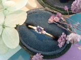 [Semi-order ring frame to choose from stones] Edel "Pinky Ring" 