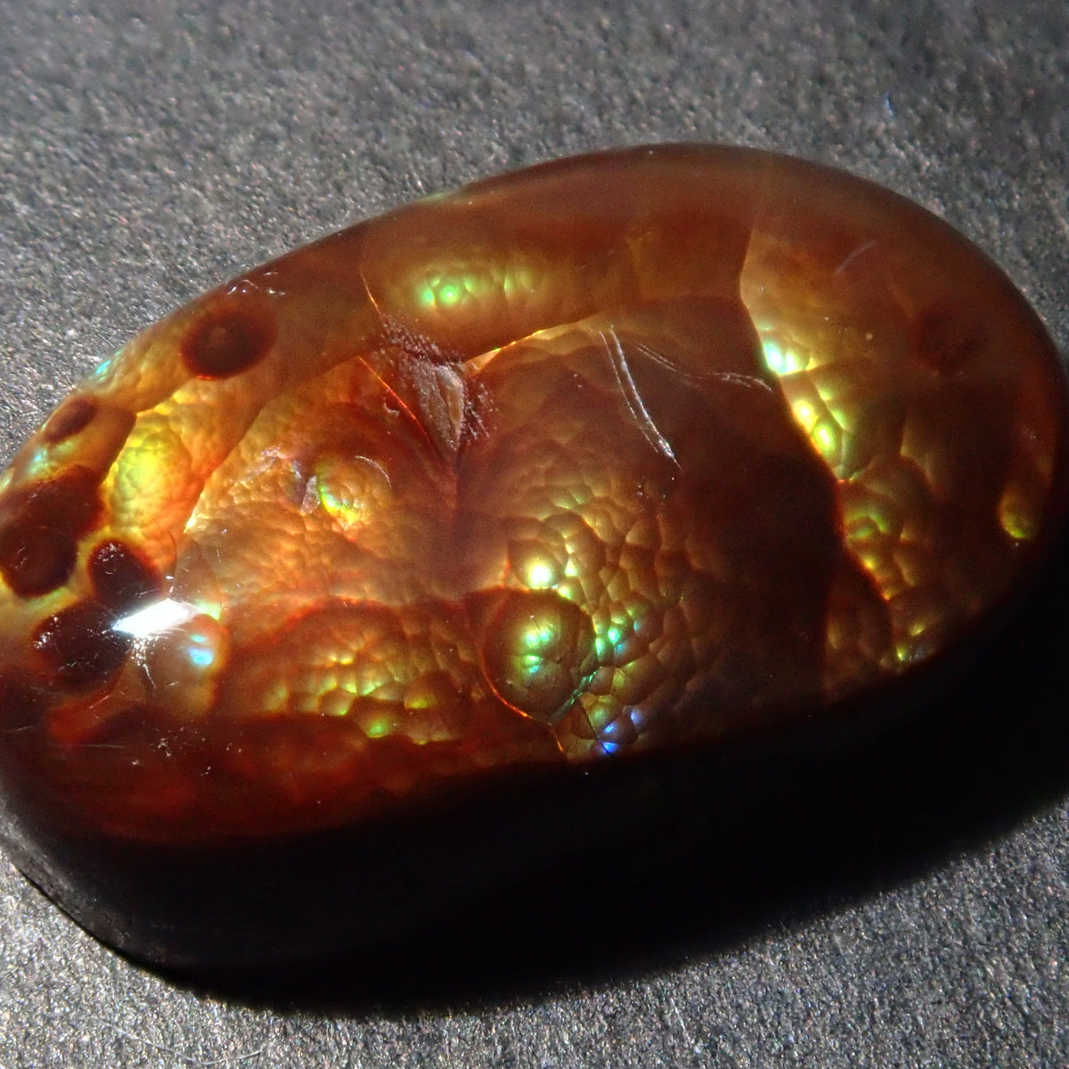 PB116440.jpg?crop=center&  