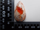 Cantera 蛋白石 35.222 克拉裸石