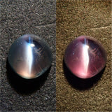 紫翠玉貓眼 0.29 克拉裸石